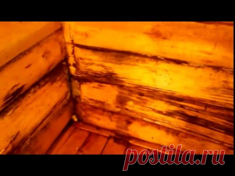 Как строят бани почти все строители?  Почему гниют бани? - YouTube