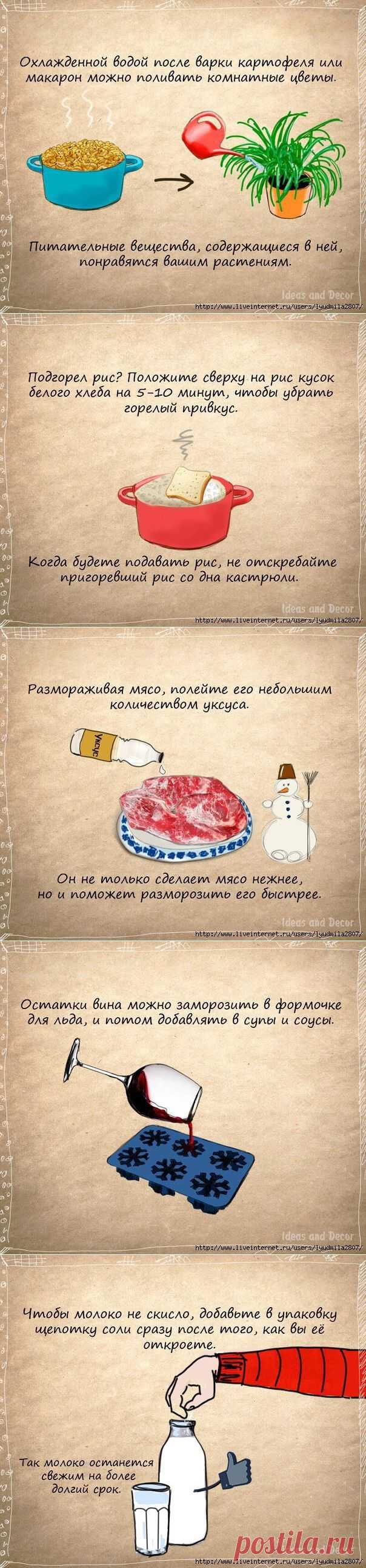 Кухонные советы в картинках