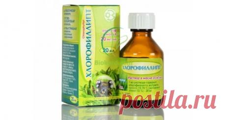 Хлорофиллипт в стоматологии — для полоскания при воспалении десен Как может помочь Хлорофиллипт при ✔ Воспалении десен ✔ Для лечения при пародонтите ➤ Масляный раствор хлорофиллипта для полоскания ➤ Эффективная стоматология