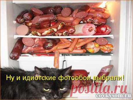 Экскурсии по холодильнику. Юмор | Со вкусом