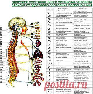 ИДЕАЛЬНАЯ ХОЗЯЙКА. Уют. Здоровье. Красота.