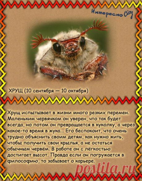ИнтересноCity