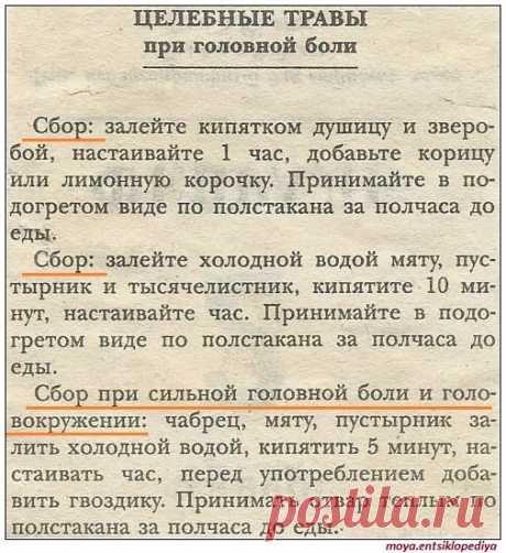 Целебные травы при головной боли