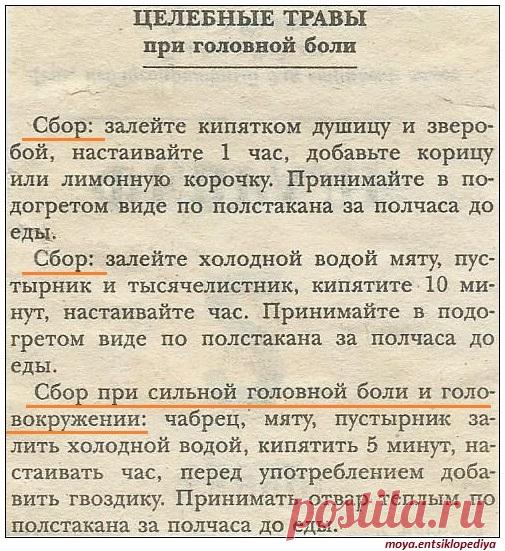 Целебные травы при головной боли