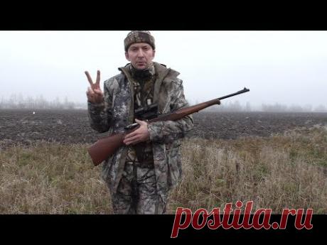 [ТЕСТ] Пробивная сила охотничьих патронов .223 Rem ▶ против стали