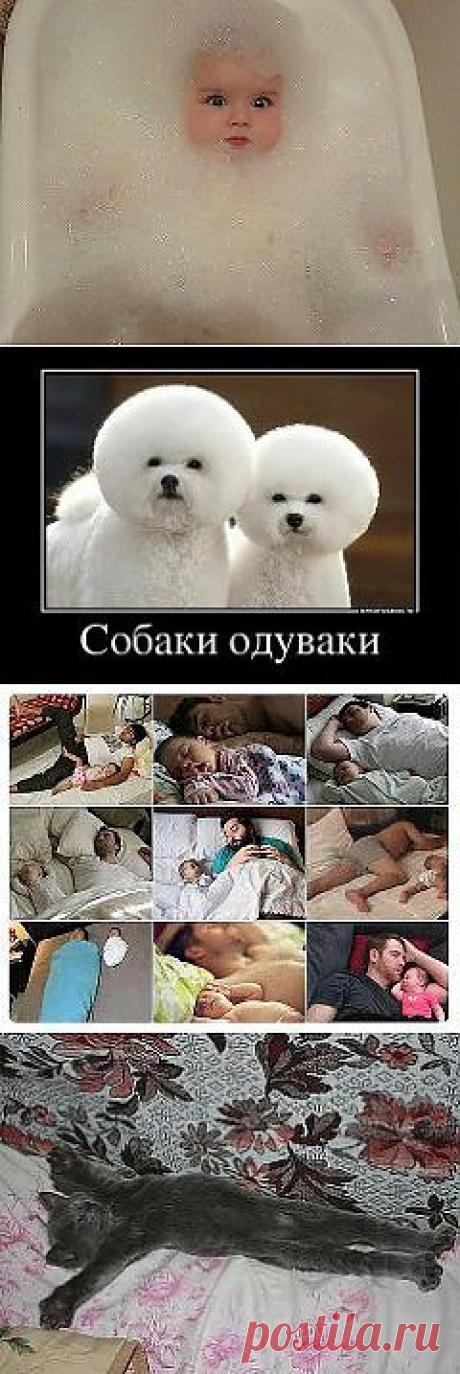 (51) Одноклассники