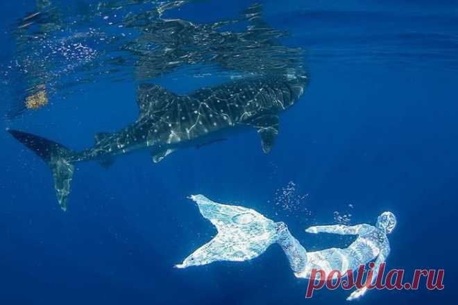 Необычные костюмы от художницы из Польши.