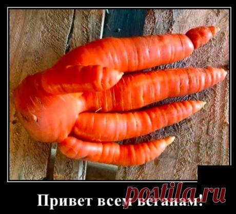Смотри что Я сделяль!