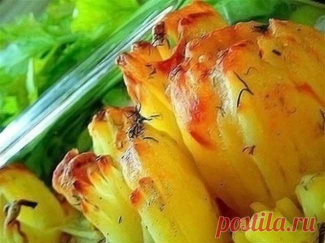 Картофель Дофине
Ингредиенты:
    9 шт. картофеля
    9 ч. л. сливочного масла
    9 тонких ломтиков сыра
Приготовление:
Картофель помыть и очистить, срезав небольшой кружочек с одного края так, чтобы картофель можно было поставить вертикально. По всей длине картофеля сделать надрезы,  не дорезая до края примерно 1 см. Посолить, поперчить, внутрь картофеля положить кусочек масла, можно добавить чеснок. Поставить картофель в высокую форму для запекания, сверху выложить ломтик сыра и запечь.