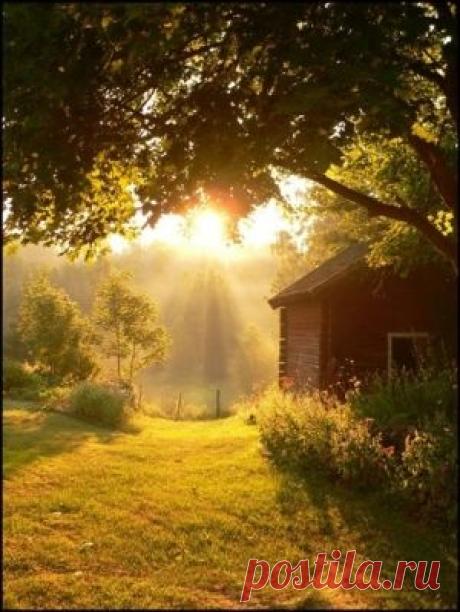 sunrise Search on Indulgy.com