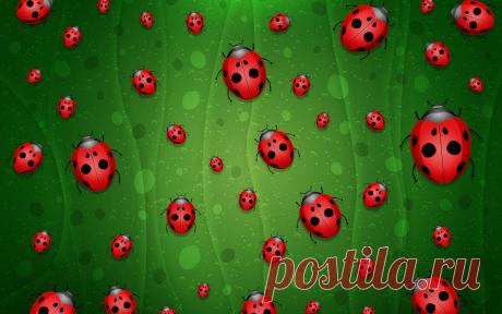 божья коровка картинки: 33 тыс изображений найдено в Яндекс.Картинках