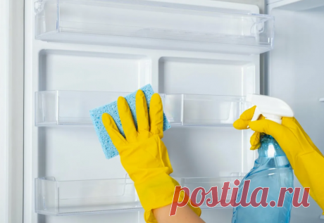 Как избавиться от неприятного запаха в холодильнике Сегодня рассмотрим несколько лайфхаков о том, как справиться с неприятным запахом в холодильнике — эта ситуация знакома каждому. Источником запаха могут стать испорченные продукты, пролитые жидкости...