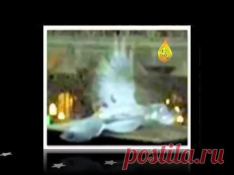 Сатанинские дни | Аюрведа - жизнь в Гармонии