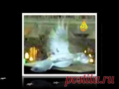 Сатанинские дни | Аюрведа - жизнь в Гармонии