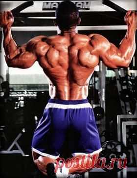 Подтягивания / Спорт Сильных!