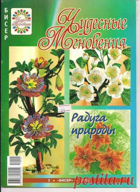 ЧУДЕСНЫЕ МГНОВЕНИЯ 02.2010