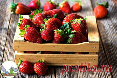Подкормка для клубнички 
#огород