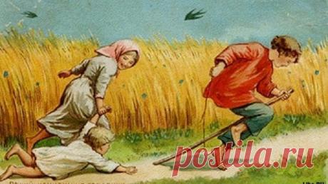 Профессионалы.ru