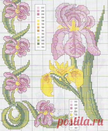 The scheme for embroidery “Irises” | Laboratory household