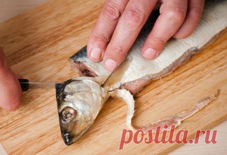 Как правильно чистить селедку - мастер-класс | Леди Mail.Ru