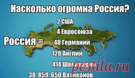 И на нас еще тявкают?!
