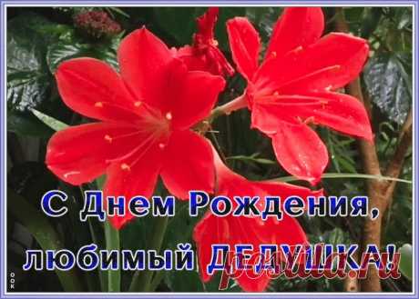 Открытка поздравление с днем рождения дедушке - скачать и отправить в социальных сетях бесплатно. Коллекция анимационных открыток с днем рождения дедушке.