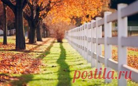 РАЗГОВОР С ЛЮЦИФЕРОМ. Часть 55. Человек квантовый (05.09.2015) - СЕлена - Absolutera.ru