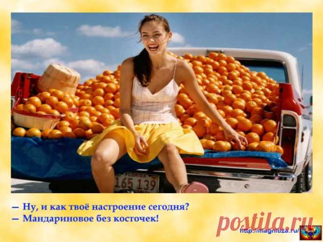 Притчи. Учись выплевывать косточки... - Магнитиза