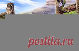 3d рисунки на заборах: 18 тыс изображений найдено в Яндекс.Картинках