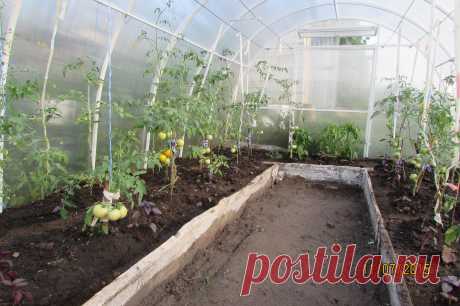 Навоз или биогумус? Не спешите с ответом! - Садоводка