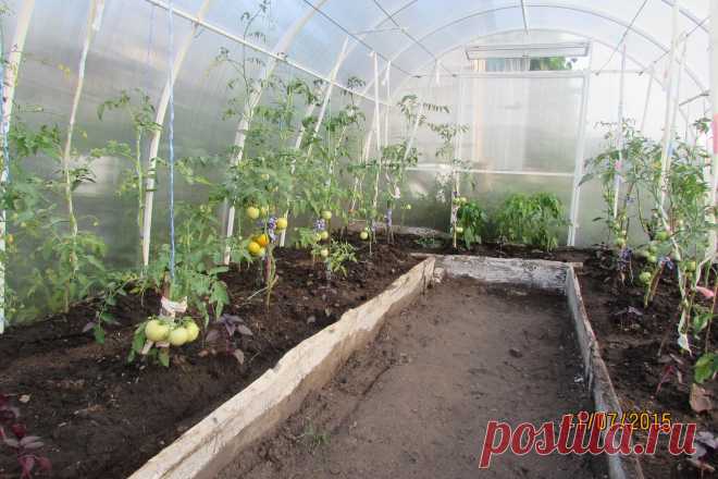 Навоз или биогумус? Не спешите с ответом! - Садоводка