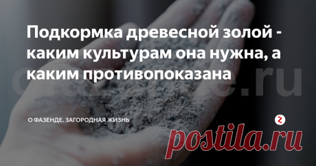 Подкормка древесной золой - каким культурам она нужна, а каким противопоказана После сжигания органики (дров, прошлогодней травы, срезанных веток и пр.) остается несгораемый остаток – пепел.