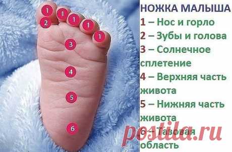 (3) Одноклассники