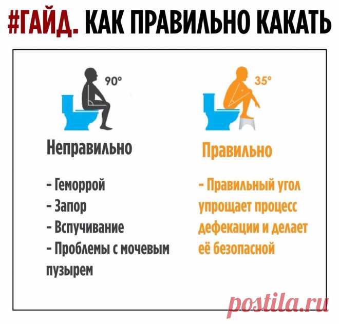 Как правильно какать