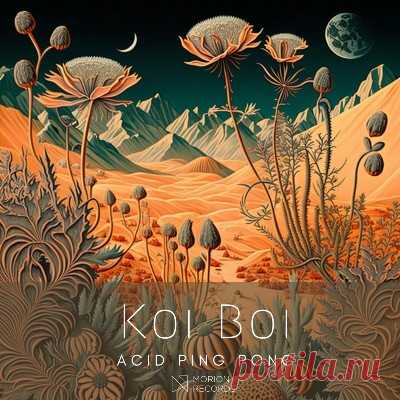 Koi Boi – Acid Ping Pong