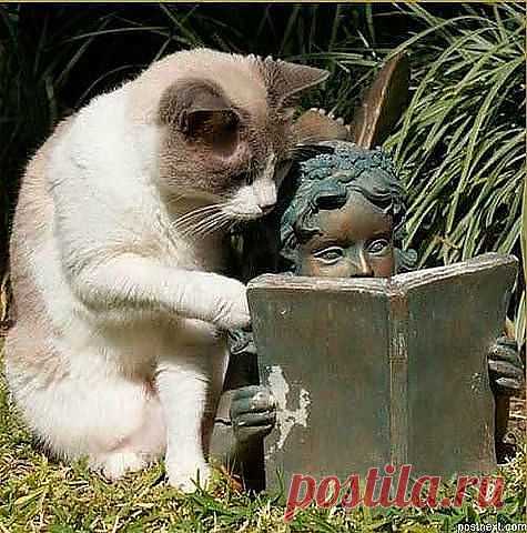 Мой Мир@Mail.Ru