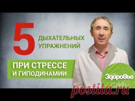 5 Дыхательных упражнений Стрельниковой|Журнал ЗДОРОВЬЕ