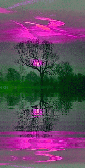 steinresi:
“Cool colour
”