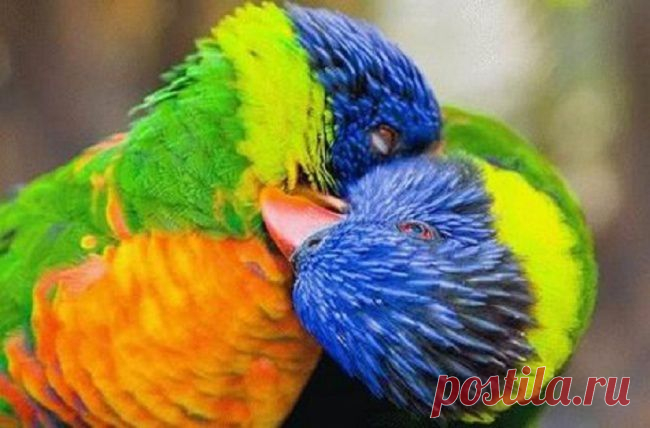Мой Мир@Mail.Ru