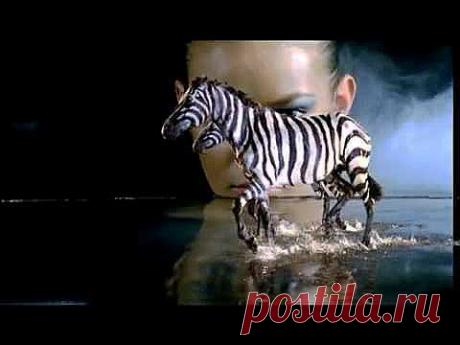 Morandi - Colors [OFFICIAL MUSIC VIDEO] - YouTube