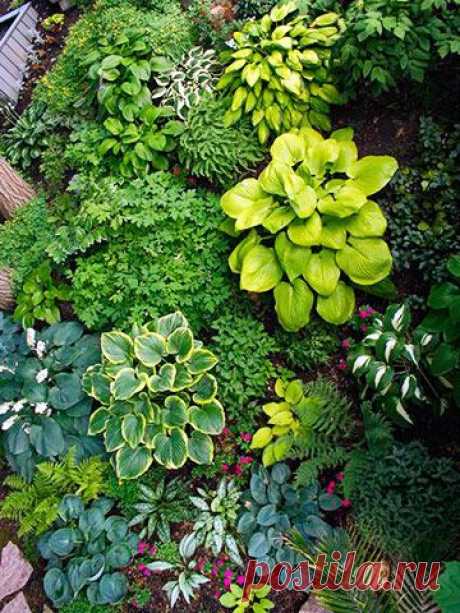 (4) Pinterest