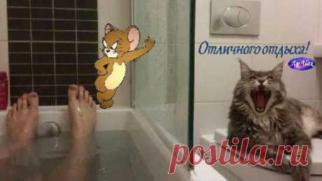 Приятных выходных :-))))))))