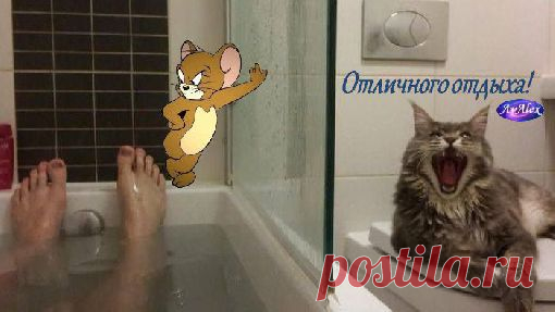 Приятных выходных :-))))))))