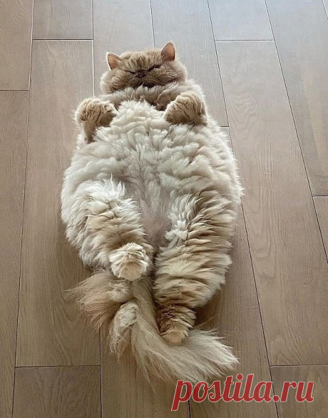 ммм