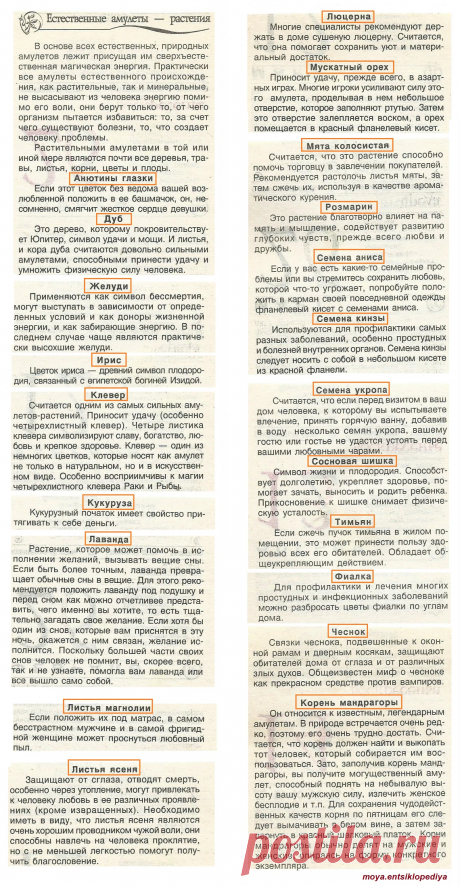 Растения - естественные амулеты