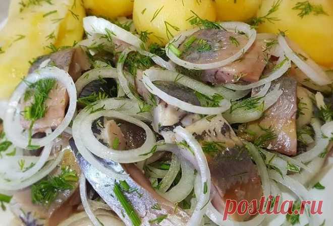 Моя селедка вкуснее, чем у других. Секрет - в заправке | Отчаянная Домохозяйка | Яндекс Дзен