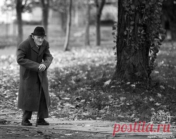 Один старый мужчина переехал жить к своему сыну, невестке и четырехлетнему внуку. Его руки дрожали, глаза плохо видели, походка была ковыляющей. Семья ела вместе за одним столом, но старые, трясущиеся дедушкины руки и слабое зрение затрудняли этот процесс. Горошины сыпались с ложки на пол, когда он зажимал в руках стакан, молоко проливалось на скатерть.

Сын и невестка стали все больше раздражаться из-за этого.

— Мы должны что-то предпринять, — сказал сын. — С меня достат...