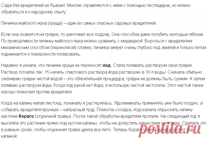 Избавляемся от хруща и листоеда