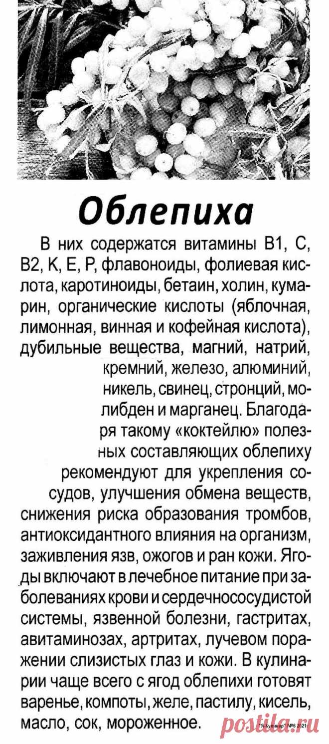 Облепиха - полезные свойства