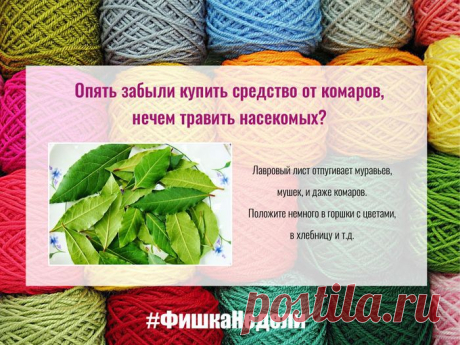 30 полезных советов.